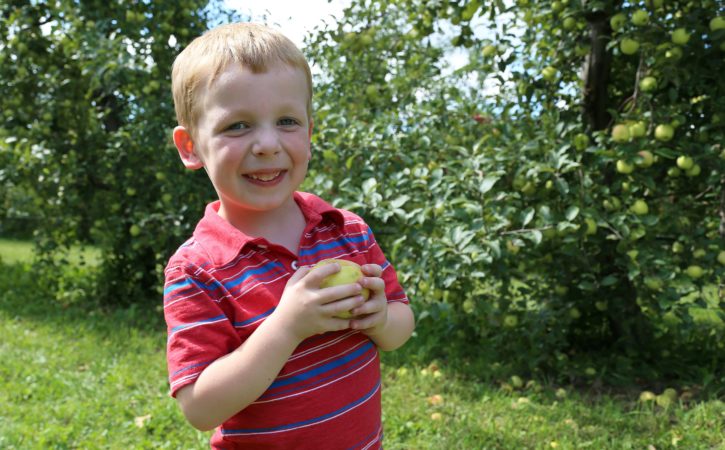 The Cottage Mama Apple Picking 2016