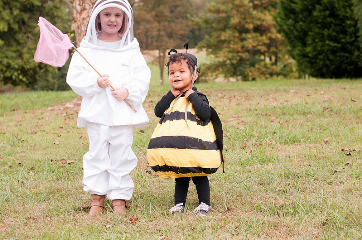 Bumblebee and Bee Keeper Halloween Costumes from The Cottage Mama. www.thecottagemama.com