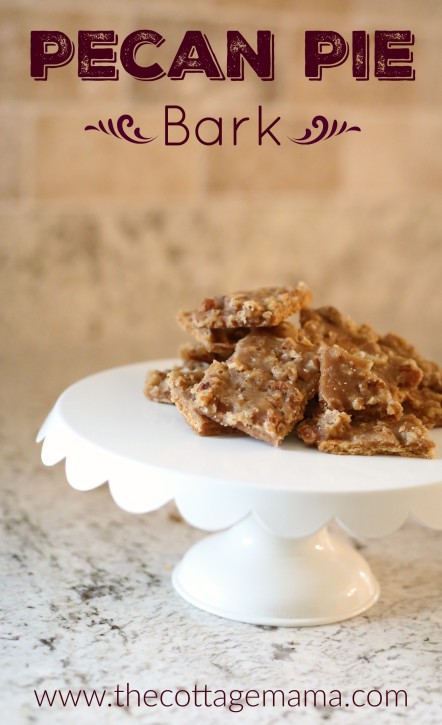 Pecan Pie Bark Recipe from The Cottage Mama. Seriously, you MUST make this. It is amazing!