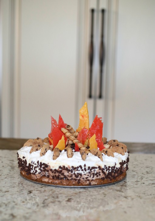 Campfire Birthday Cake - Ice Cream Cookie Cake from The Cottage Mama. SO cute!!