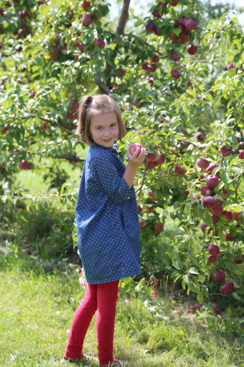 The Cottage Mama Apple Picking 2016
