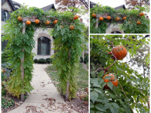 A Whimsical Fall: Decorating Inspiration