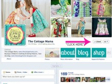Facebook 10,000 Fan Giveaway, Newsletter and a Little Housekeeping